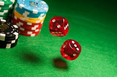 rumahtogel multi-sport dashboard